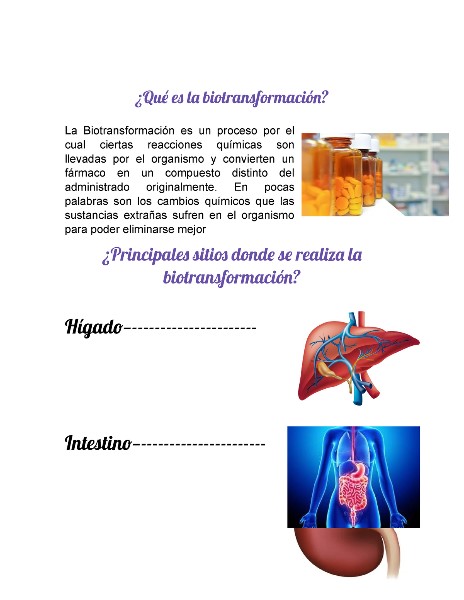 biotransformacion