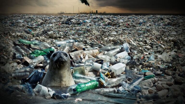 como-contamina-el-plastico-al-agua
