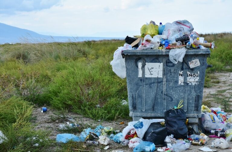 el-reciclaje-causas-y-consecuencias