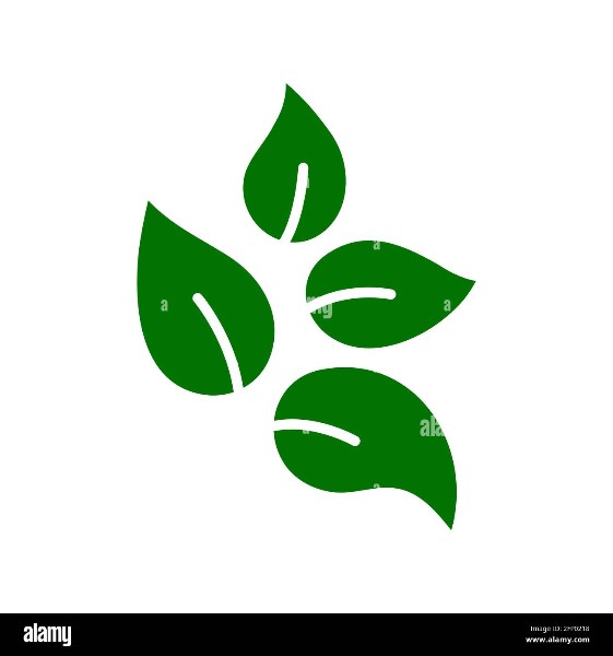 hojas-ecologicas