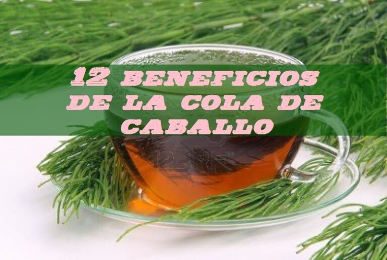 12-beneficios-de-la-cola-de-caballo