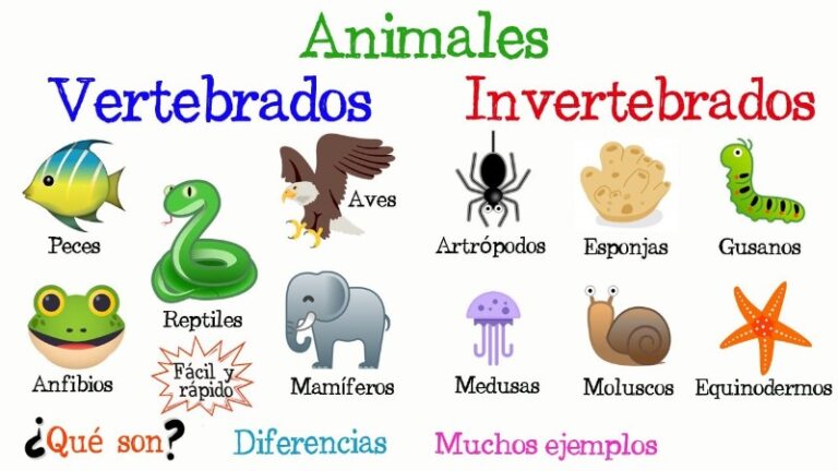 animales-vertebrados-e-invertebrados