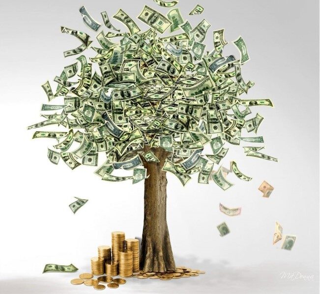 arbol-de-dinero