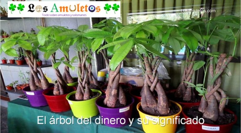 arbol-del-dinero-significado