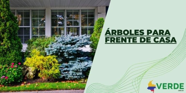 arboles-para-frente-de-casa