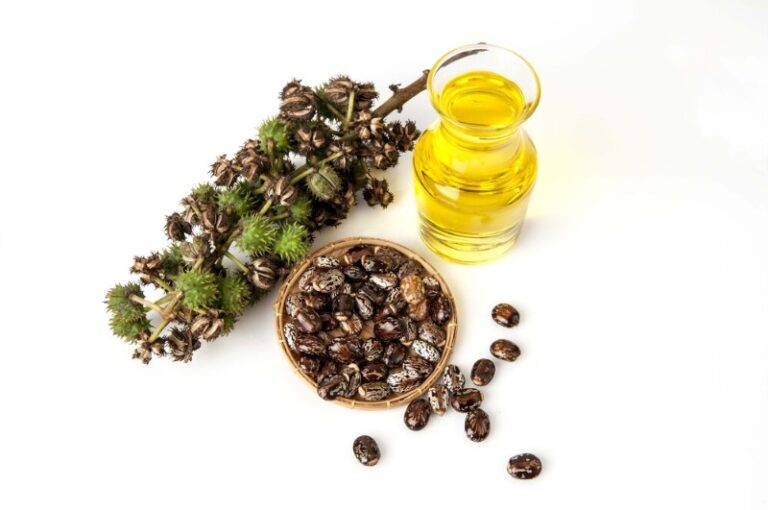 beneficios-del-castor-oil