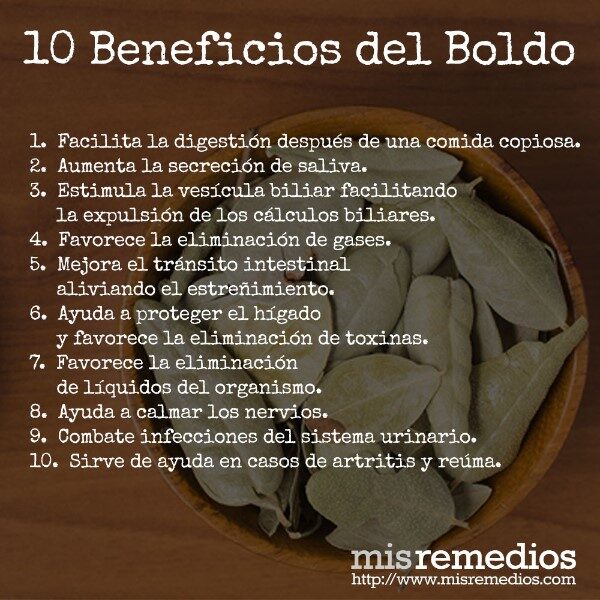 boldo-beneficios