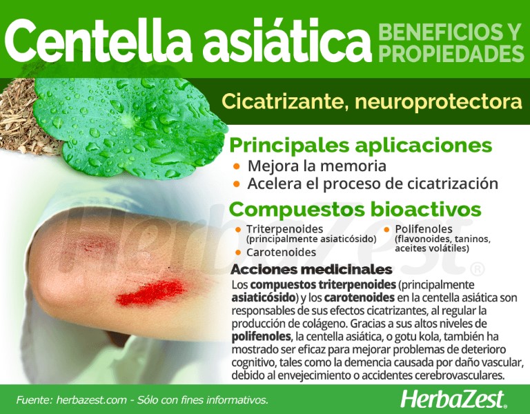 centella-asiatica-beneficios