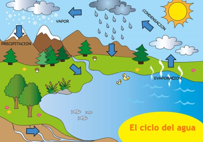 ciclo-del-agua-para-ninos