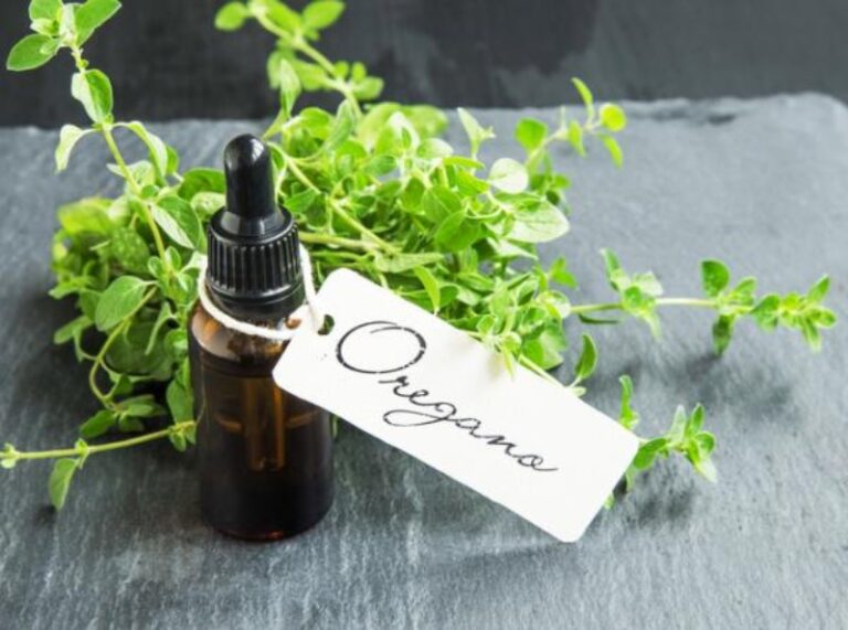 como-tomar-aceite-de-oregano-para-la-candidiasis