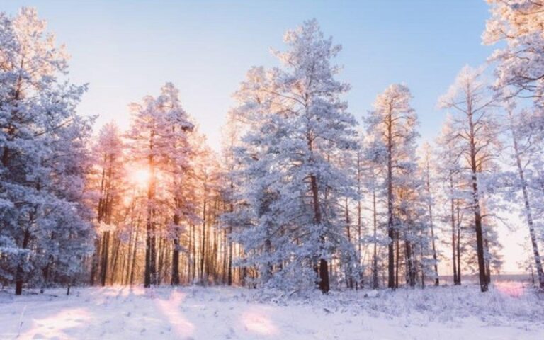 cuando-es-invierno
