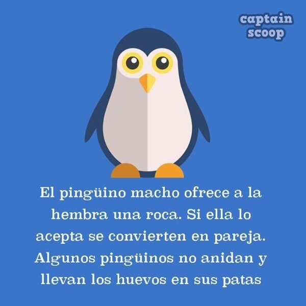 datos-curiosos-de-animales