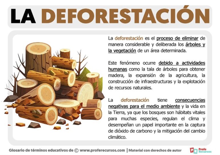 deforestacion-definicion