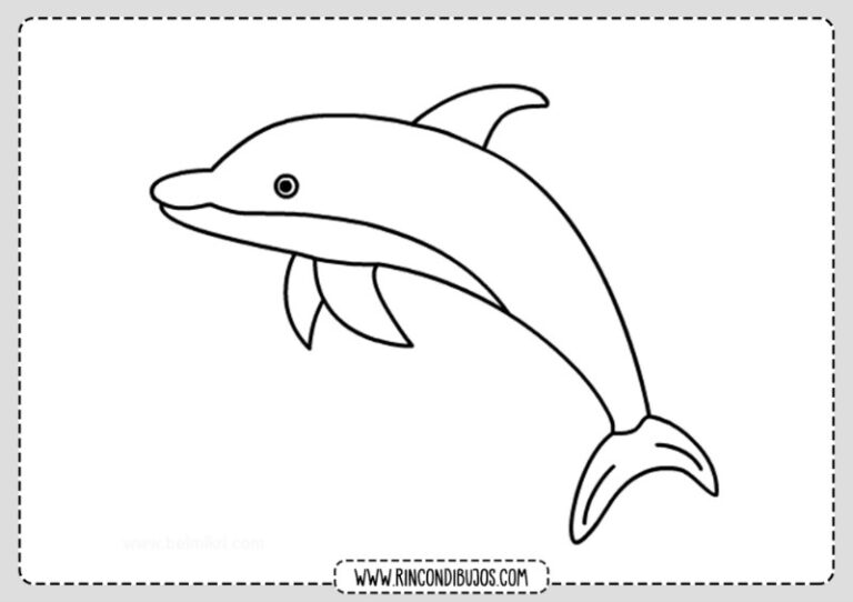 dibujar-delfines