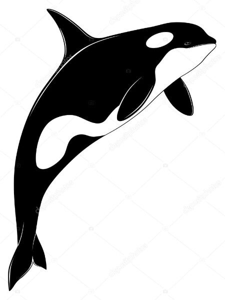 dibujar-orca