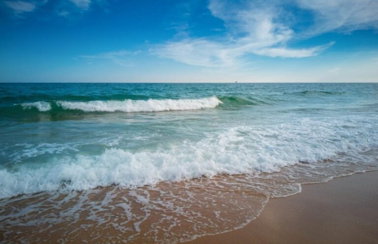 diferencia-entre-el-oceano-y-el-mar