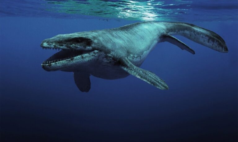 dinosaurios-marinos