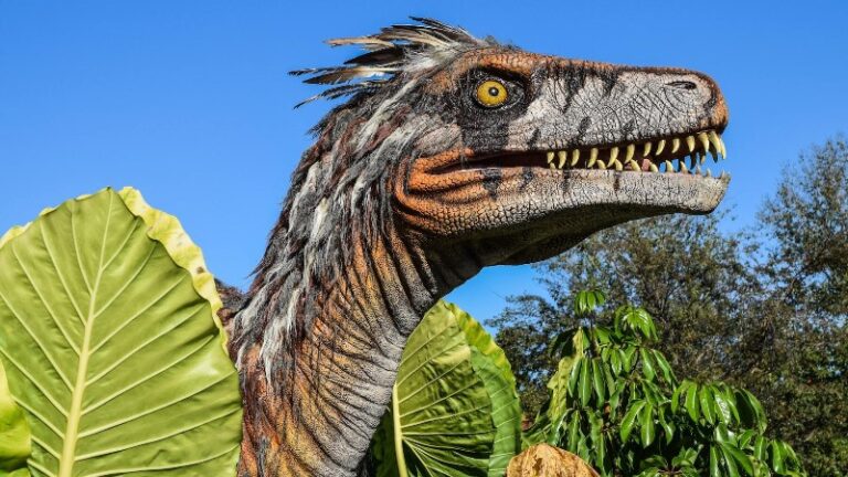 dinosaurios-voladores