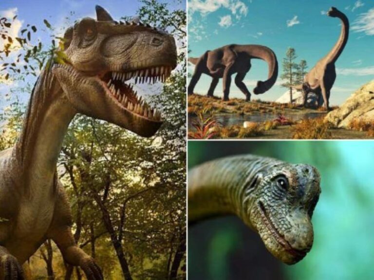 en-que-ano-existieron-los-dinosaurios