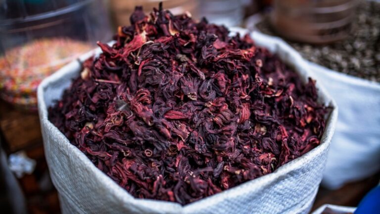 flor-de-jamaica-contraindicaciones