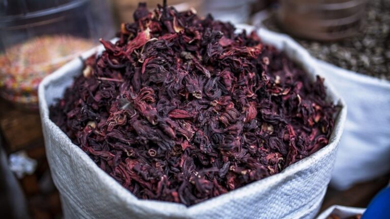 flor-de-jamaica-y-sus-propiedades