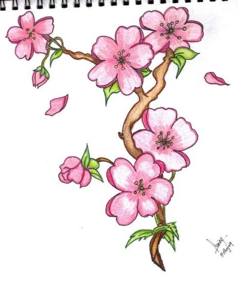 flores-para-dibujar-con-color