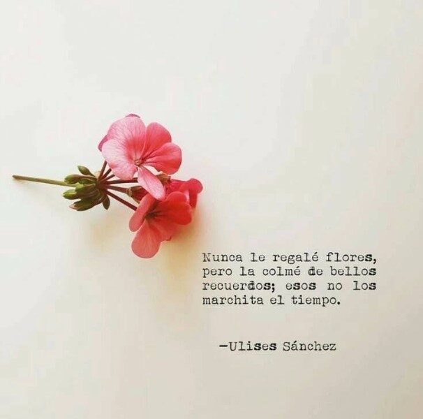 frases-para-regalar-flores