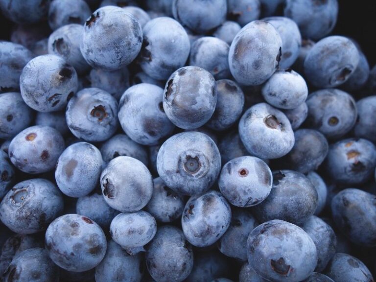 fruta-morada