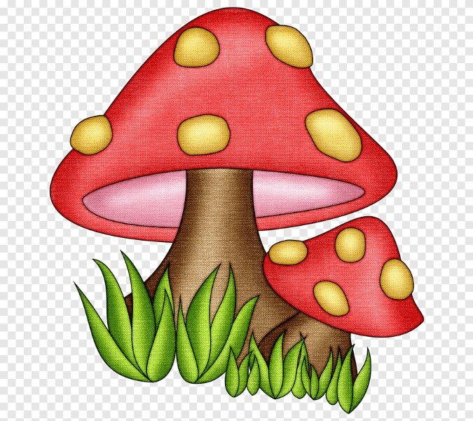 hongos-para-dibujar