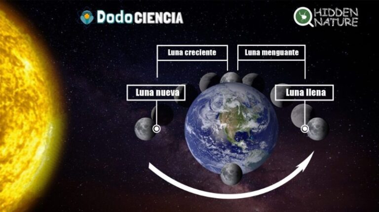 la-luna-gira-alrededor-de-la-tierra