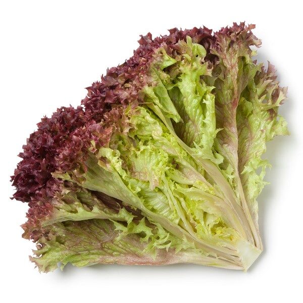 lechuga-morada