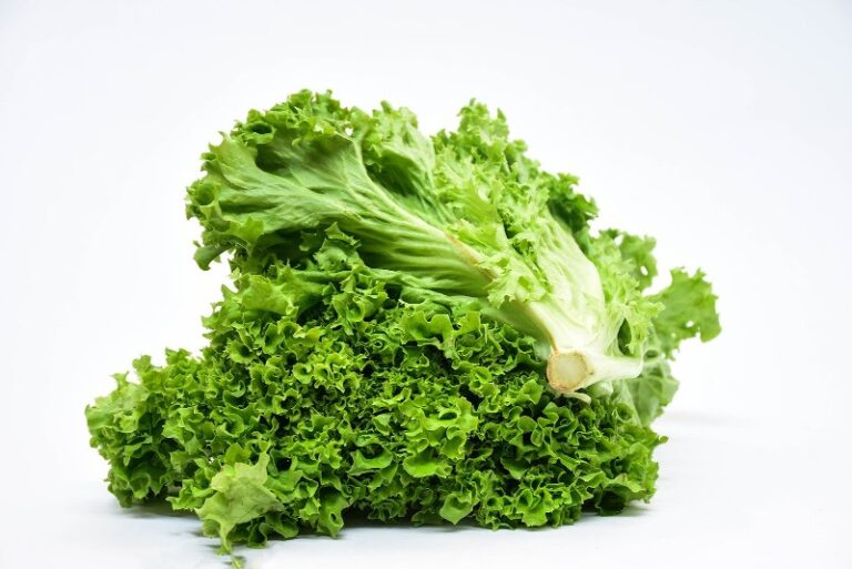 lechuga-verde