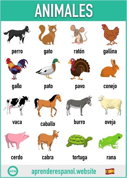 lista-de-animales