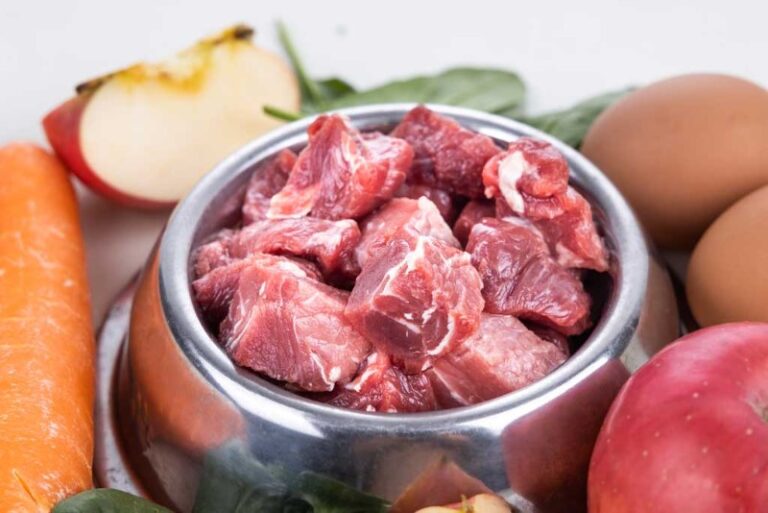 los-perros-pueden-comer-carne-de-puerco