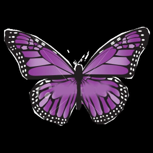 mariposas-moradas-para-imprimir