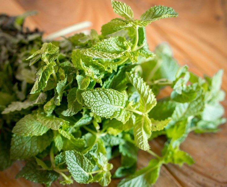 menta-y-hierbabuena-es-lo-mismo