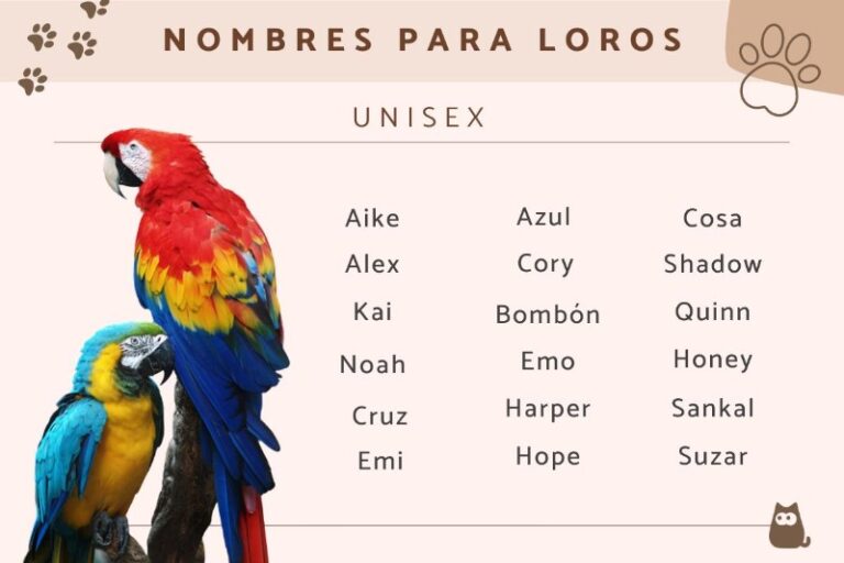 nombres-para-loros