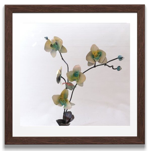 orquidea-amarillenta