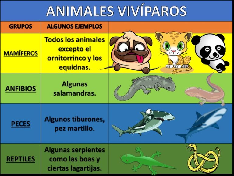 oviparos-y-viviparos