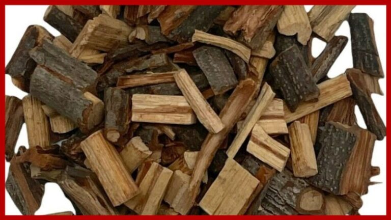 palo-de-las-tres-costillas