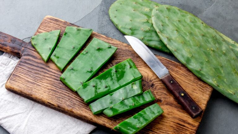 para-que-sirven-las-pastillas-de-nopal-del-doctor-juan