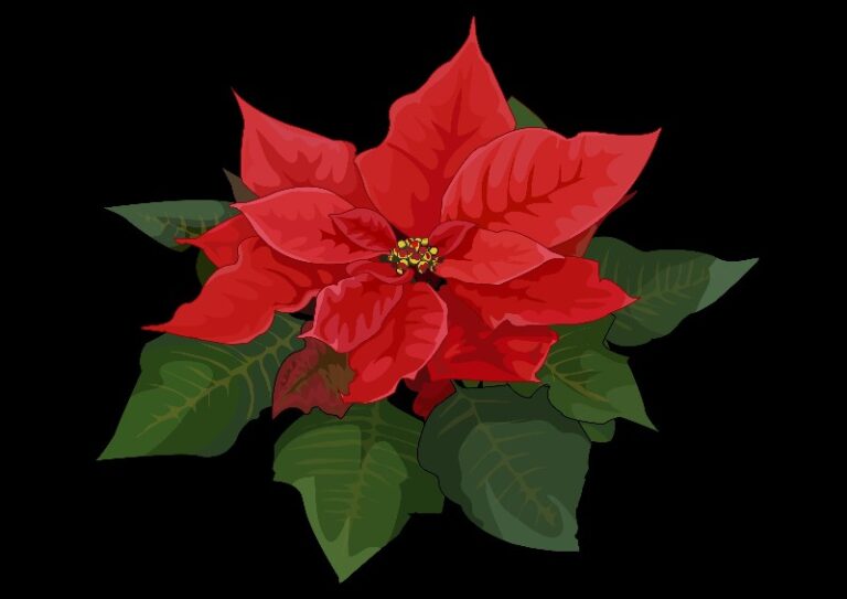pascuas-flores