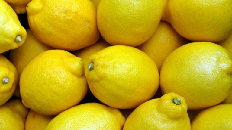 peligros-del-limon