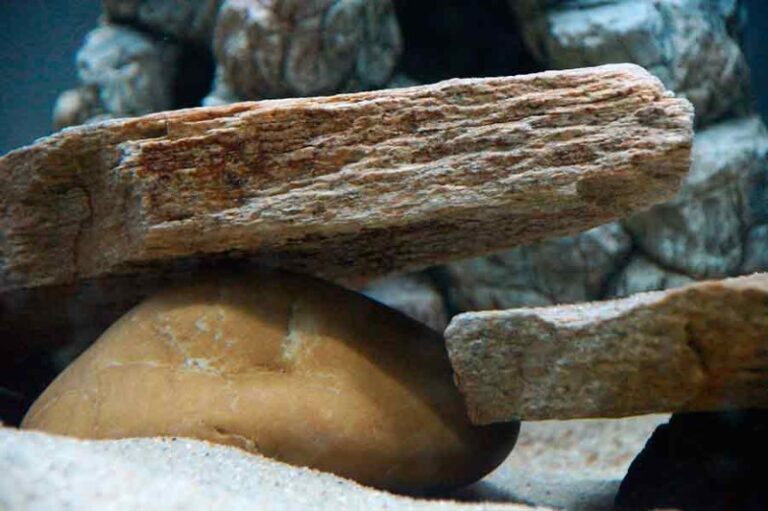 piedras-para-peceras