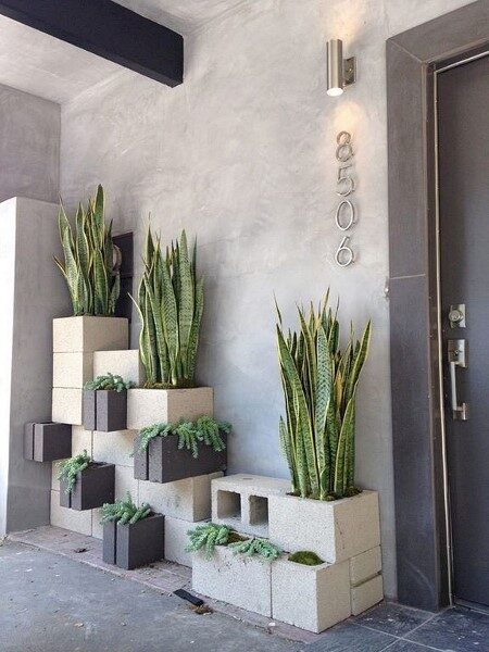 plantas-como-decorar-la-entrada-exterior-de-una-casa