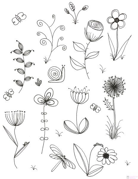 plantas-para-dibujar