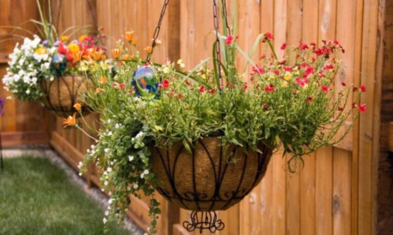plantas-que-cuelgan