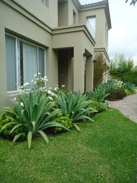 plantas-verdes-para-jardin
