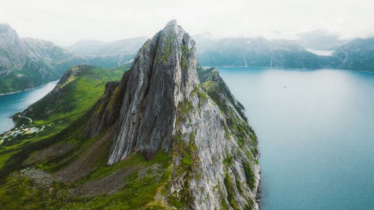 porcentaje-de-agua-en-la-tierra