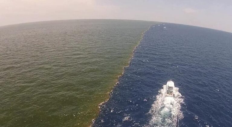 porque-no-se-mezclan-los-oceanos-atlantico-y-pacifico